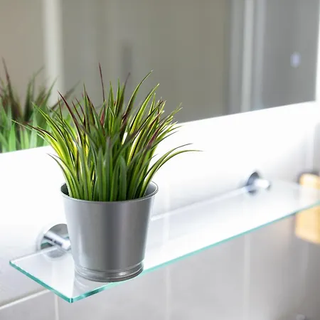 Fullhouse - Halle - Paulus - Nespresso Halle (Saale)