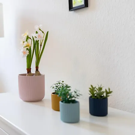 Fullhouse - Halle - Paulus - Nespresso Appartement *