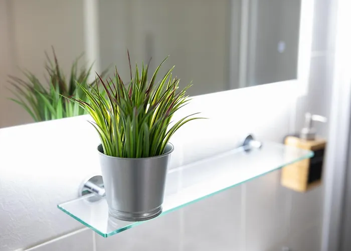 Fullhouse - Halle - Paulus - Nespresso Галль